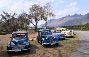 🚗✨ คาราวานรถโบราณสุดคลาสสิก ร่วมฉลองเทศกาลเก็บองุ่น GranMonte Sparkling Harvest Festival 2025 🍇🍷